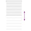 Product Thumbnail Image 5 of 16