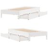Product Thumbnail Image 9 of 11