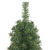 vidaXL Artificial Christmas Tree with 150 LEDs with Stand Green 120 cm