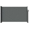 vidaXL Retractable Side Awning Anthracite 120x600 cm