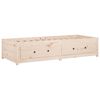 vidaXL Day Bed without Mattress 80x200 cm Solid Wood Pine