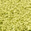 vidaXL Anti-slip Bath Mat Green 50 x 80 cm PP