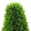Product Thumbnail Image 3 of 5