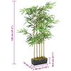 Product Thumbnail Image 5 of 5