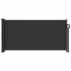 vidaXL Retractable Side Awning Black 100x300 cm