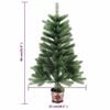 Product Thumbnail Image 12 of 12