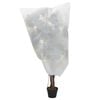 Product Thumbnail Image 2 of 9