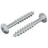 vidaXL Screw 2 pcs Silver 9.8 x 35 mm Iron