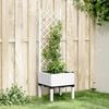 Product Thumbnail Image 2 of 8