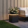 Product Thumbnail Image 2 of 12