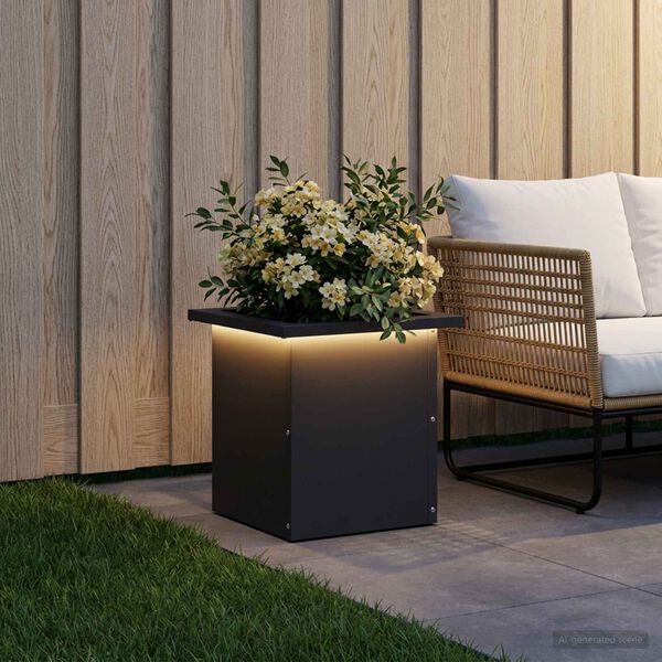 Showing Product Image 2 of 12