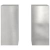 vidaXL Plant Stand 2 pcs Silver 24 x 24 x 55 cm Stainless steel