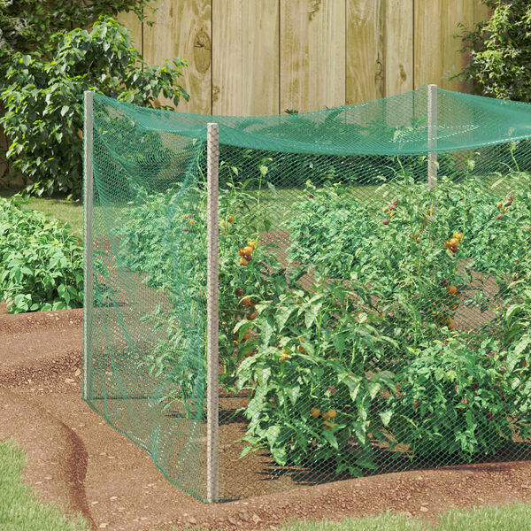 Showing Product Image 2 of 6