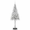 Product Thumbnail Image 4 of 14