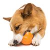 West Paw Dog Toy with Zogoflex Toppl Tangerine Orange S