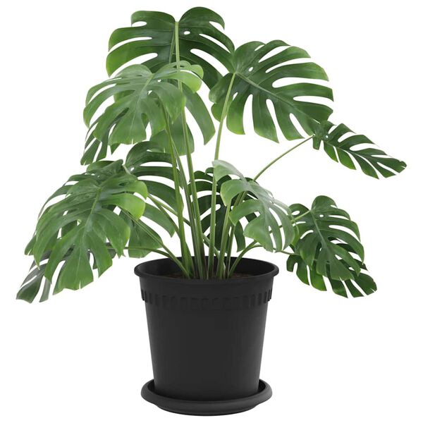 vidaXL Plant Pots 24 pcs Black &Oslash; 17 x 14 cm Plastic