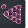 Product Thumbnail Image 13 of 19