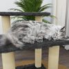 vidaXL Cat Tree with Sisal Scratching Posts Dark Grey 50.5 cm