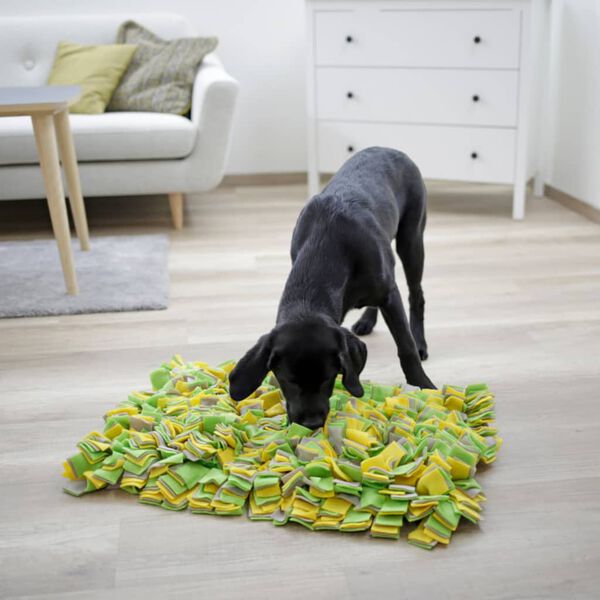 Kerbl Dog Sniff Rug 70x50 cm