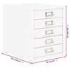 vidaXL Filing Cabinet with 5 Drawers Metal 28x35x35 cm White