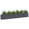 Product Thumbnail Image 3 of 8