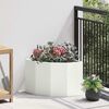 Product Thumbnail Image 2 of 12