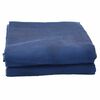 vidaXL Tent Carpet Blue 250 x 250 cm Polyester