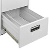 vidaXL Filing Cabinet Light Grey 46x62x133 cm Steel