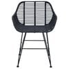vidaXL Dining Chair 2 pcs Black 55 x 50 x 74 cm Rattan and Iron
