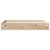 Product Thumbnail Image 5 of 11