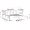vidaXL Pull-out Day Bed without Mattress Grey 2x(90x190)cm