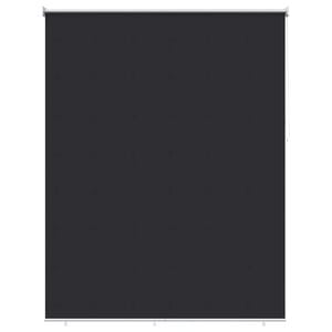 vidaXL Outdoor Roller Blind UV Protection Anthracite 160 x 230 cm