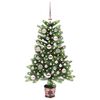 Product Thumbnail Image 2 of 13