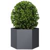 Product Thumbnail Image 8 of 10