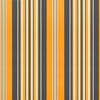 vidaXL Replacement Fabric for Awning Multicolour Stripe 5x3.5 m