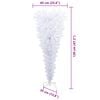 Product Thumbnail Image 18 of 18