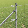 Product Thumbnail Image 5 of 18