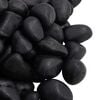 Product Thumbnail Image 4 of 4