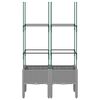 Product Thumbnail Image 3 of 7
