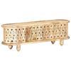 vidaXL TV Cabinet 120x30x40 cm Solid Mango Wood