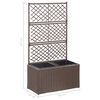 Product Thumbnail Image 7 of 7
