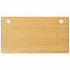 vidaXL Desk Top 100x60x4 cm Bamboo