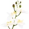 Product Thumbnail Image 4 of 5