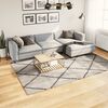 vidaXL Shaggy Rug PAMPLONA High Pile Modern Beige and Anthracite 200x280 cm