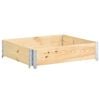 vidaXL Raised Bed 100x100 cm Solid Pine Wood