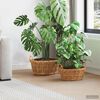 Product Thumbnail Image 2 of 9