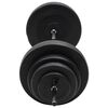vidaXL Barbell with Plates 60 kg