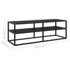 vidaXL TV Cabinet Black with Black Glass 120x40x40 cm