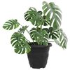 Product Thumbnail Image 3 of 9