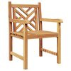vidaXL Garden Chair 2 pcs 60 x 58 x 90 cm Solid Teak Wood